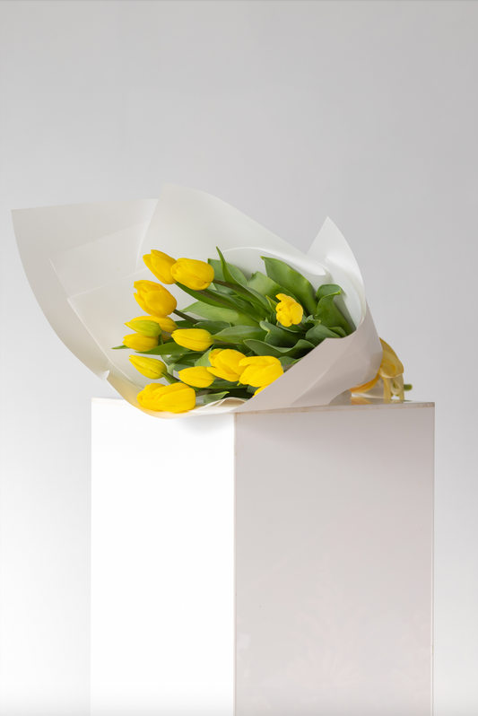 Hello Tulips