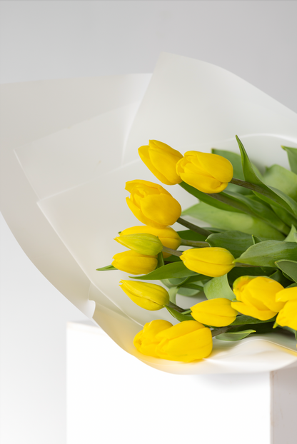 Hello Tulips