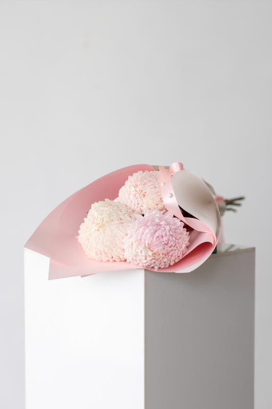 Pom Pom